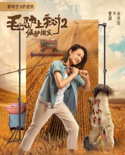 国产91精品黄网在线观看