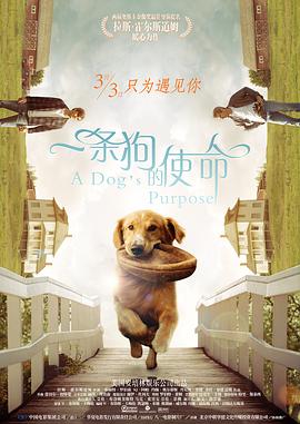 好吊色免费视频