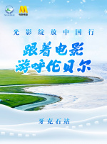 99久久99久久久99精品齐