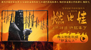 国产经典一区