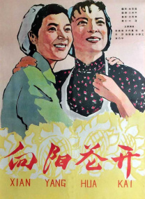 不懂事的媳妇